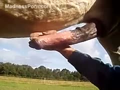 Skinny grand dad enjoys masturbating horse knobs